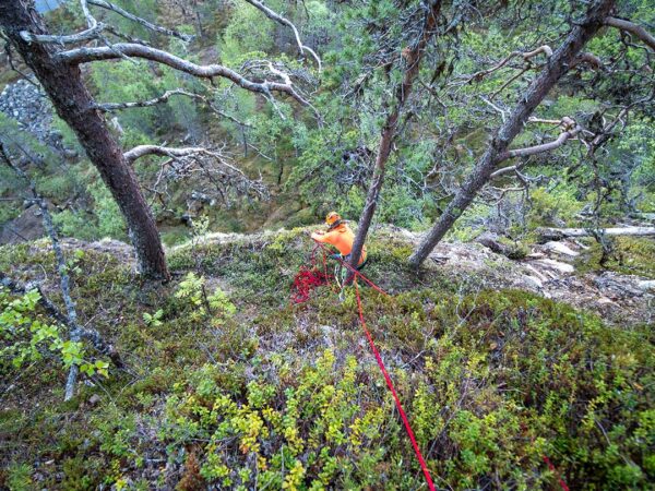 Outdoor Rock Climbing Basic Course